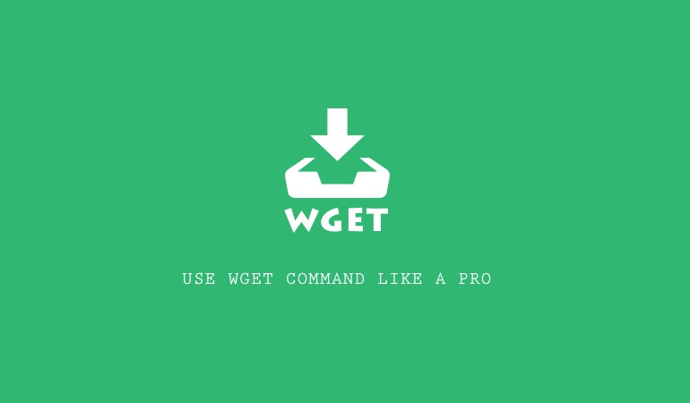 Examples of Using Wget Command for Windows and Linux