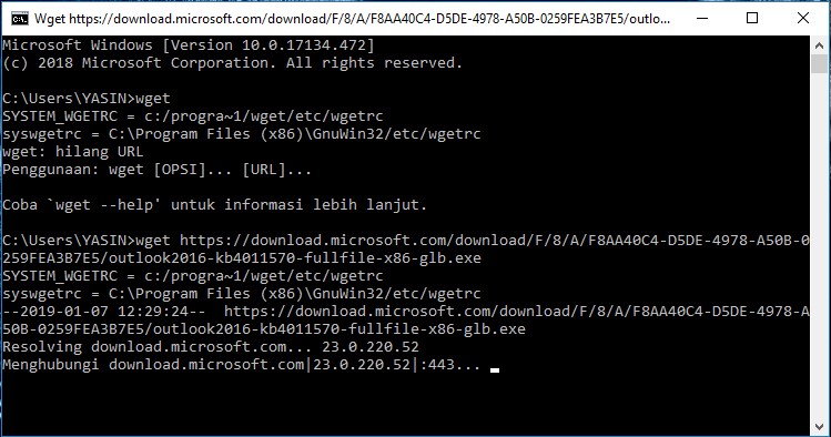 example of using wget command - wget test in windows