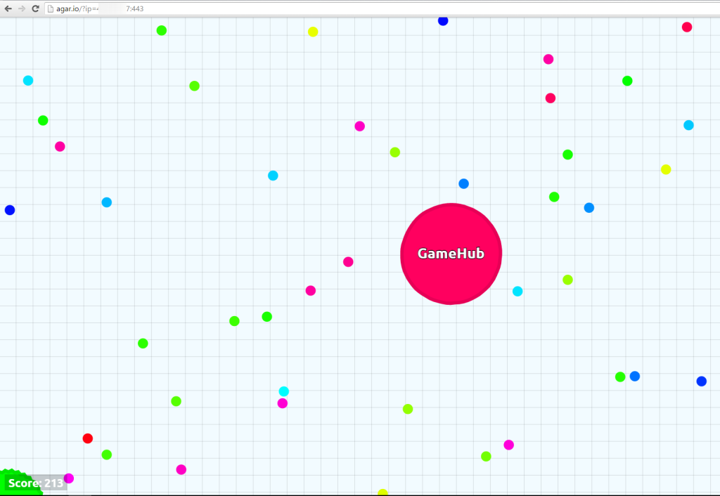 A clone of the game Agar.io used for this research. The player has one