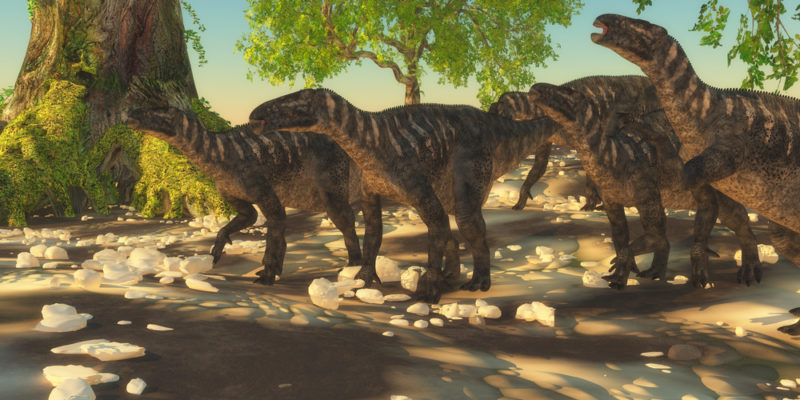 Cretaceous period