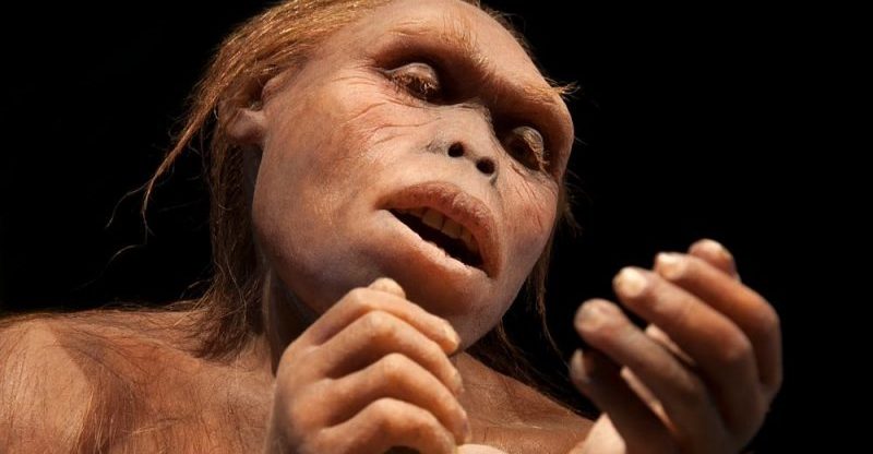 Australopithecus: Origin, Extinction, Features And Characteristics