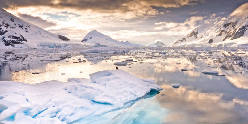 10 Characteristics of Antarctica, its Climate, Flora, and Fauna, Features and Resources