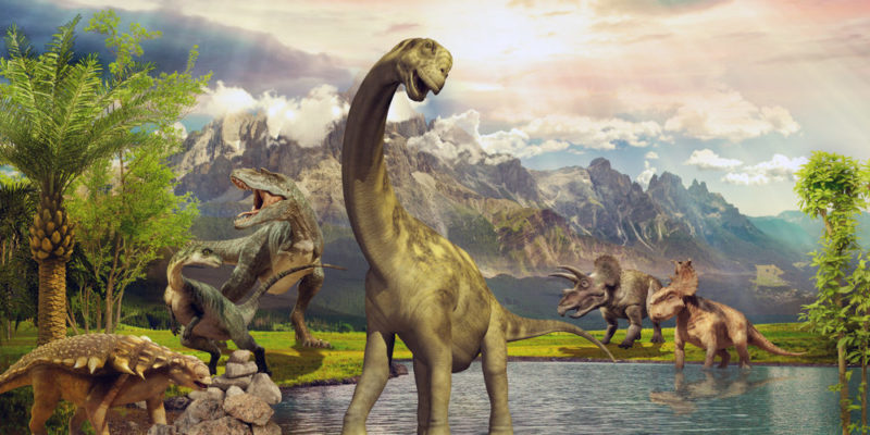 10 Characteristics Of Dinosaurs, Its Classification, Reproduction And Survival