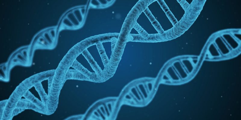 Genetic Code | 10 Characteristics, Definition, Pattern, Theories And Examples