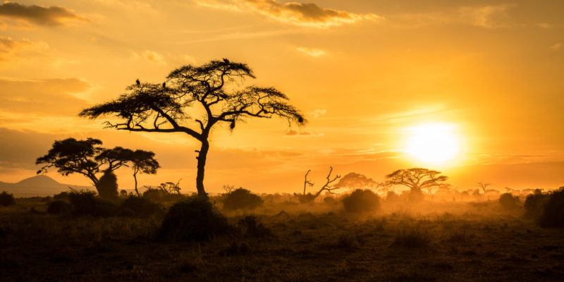 10 Facts About Africa, Its Regions, Religions, Climates and Characteristics