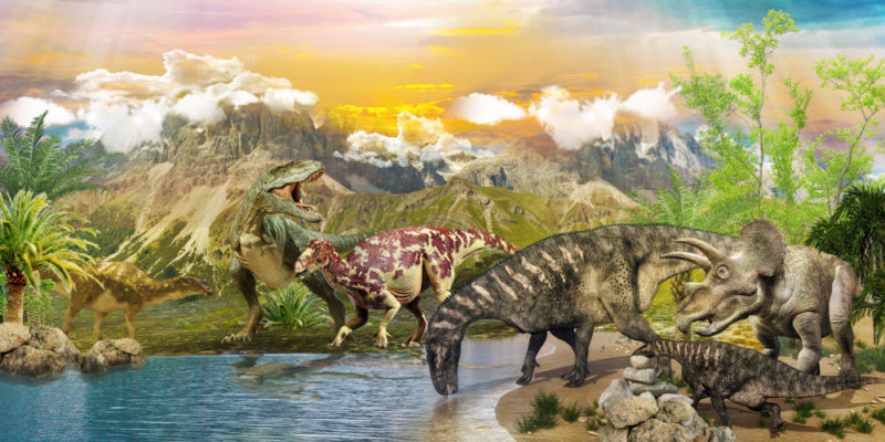 Characteristics of the Cretaceous fauna