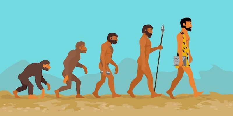 Evolutionary leaps of the human being