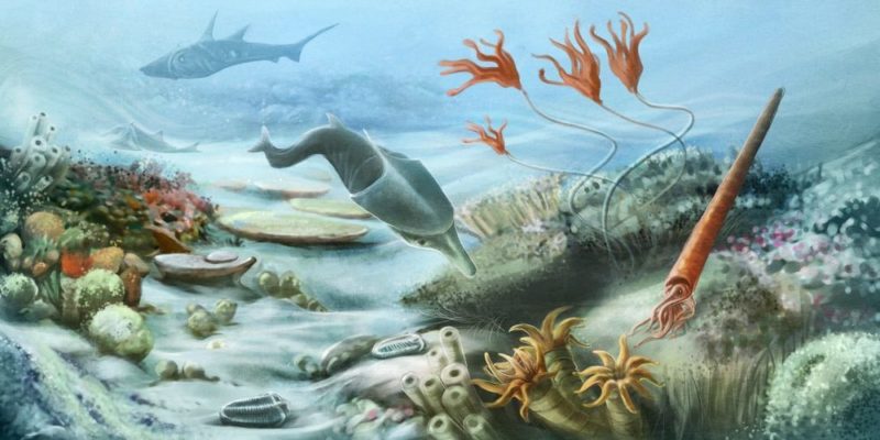 The Permian-Triassic Mass Extinction