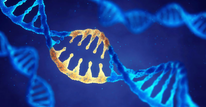 What risks does genetics present?