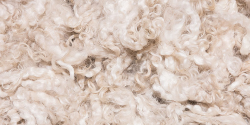 Wool classification