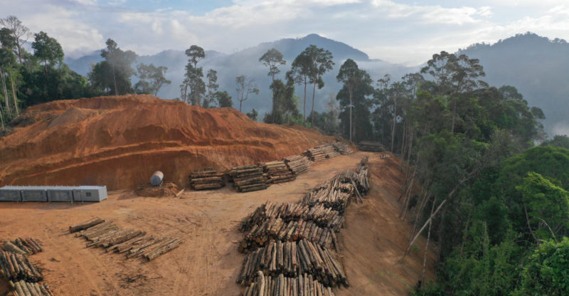 Deforestation: Causes, Consequences and Characteristics