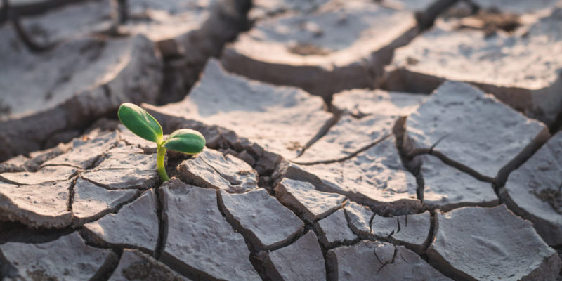 10 Characteristics of Drought, its Types, Causes and Consequences