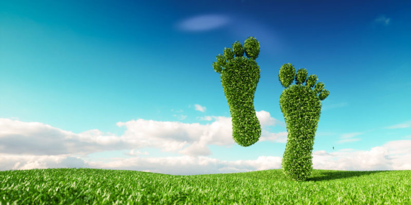 10 Facts About Ecological Footprint, Its History, Types, Measurement And Characteristics