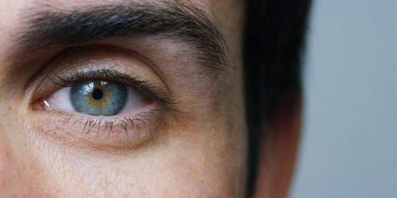 Human Eye | Definition, Functions, Features And Characteristics