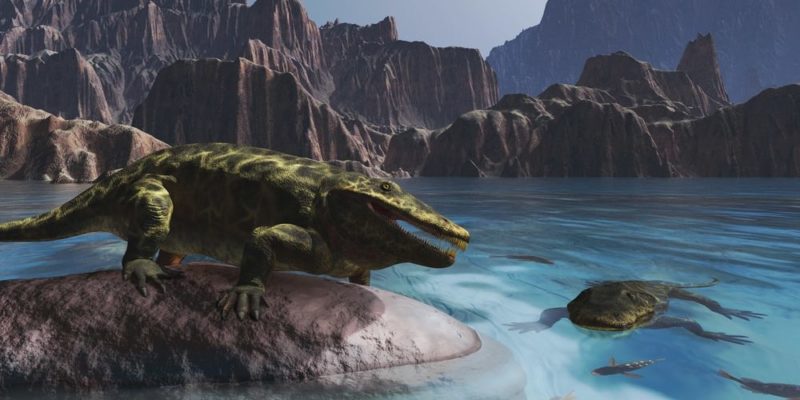 10 Facts About Paleozoic Era, Its Climate, Flora, Fauna And Characteristics
