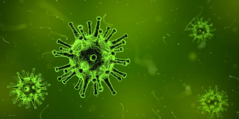 10 Characteristics of Virus, its Classification, Transmission and Infection