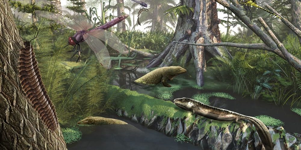 Carboniferous Period: Summary, Division, Information and Characteristics