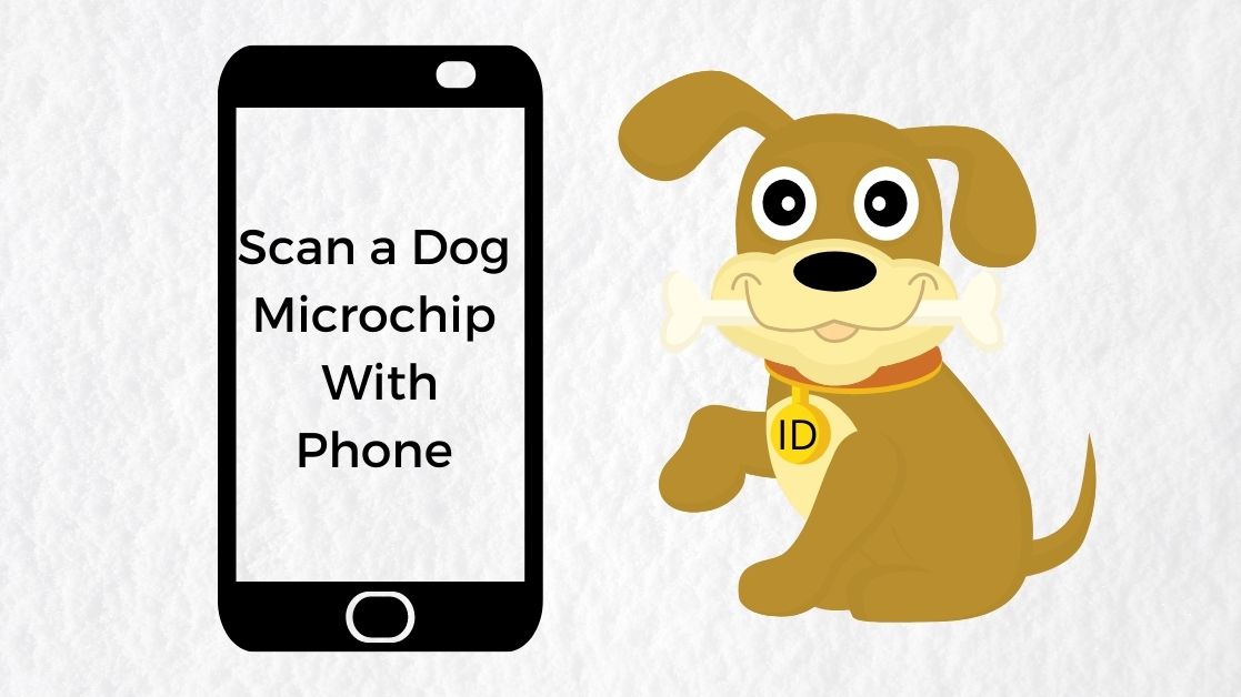 can i scan my dog's microchip with my phone	