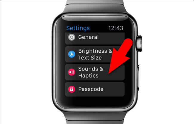 How Can I Make My Apple Watch Only Vibrate When I Get Notifications?