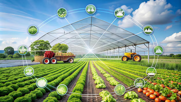 Agro-export Model: Causes, Consequences Features and Characteristics