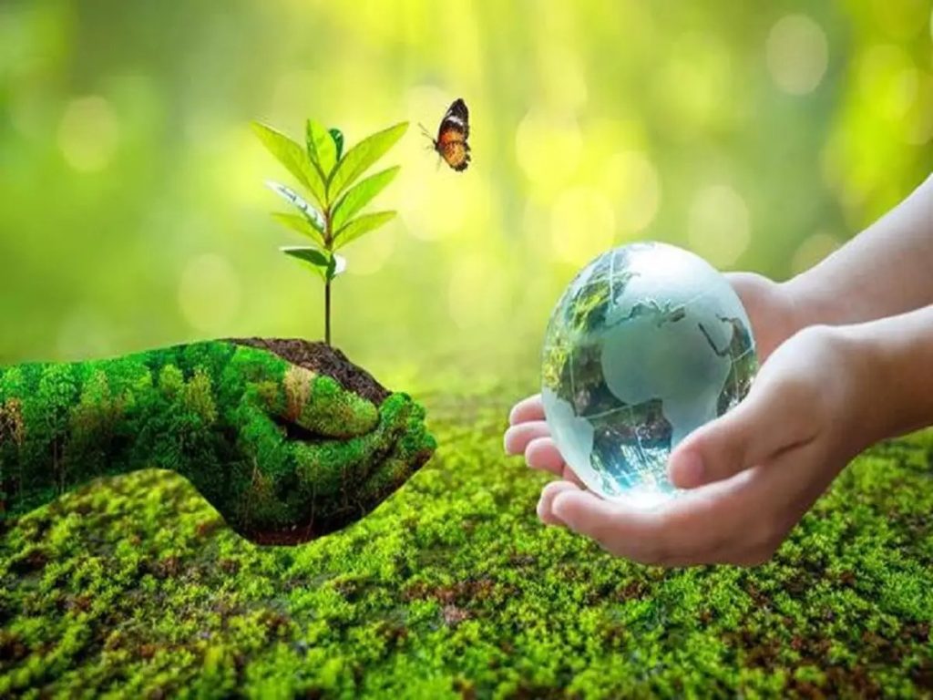 Top 10 Characteristics And Features Of The Environment
