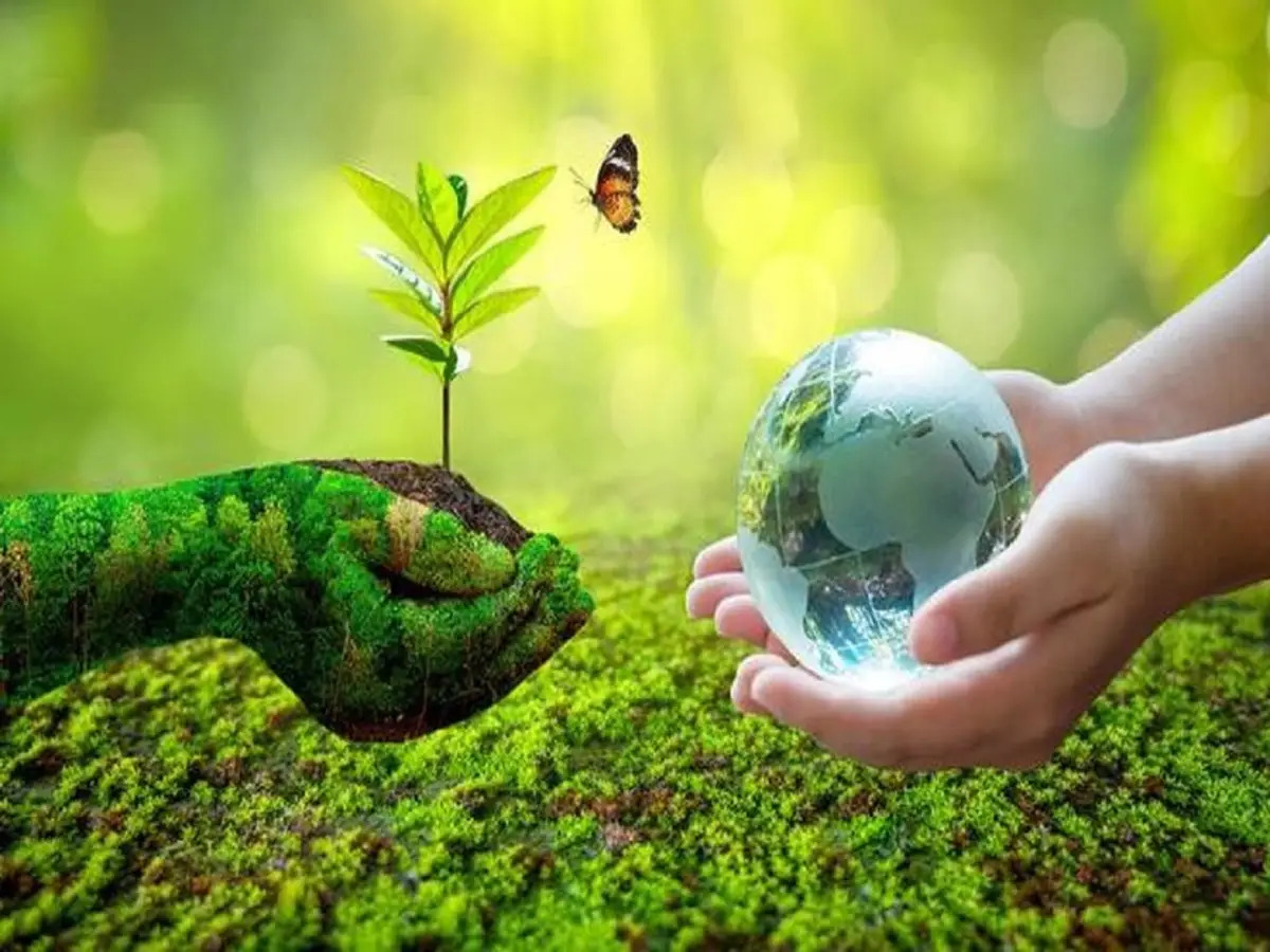 Top 10 Characteristics And Features Of The Environment