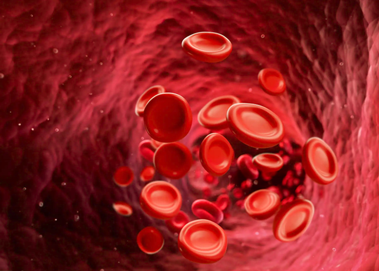 Blood: Composition, Types, Functions, Features and Characteristics