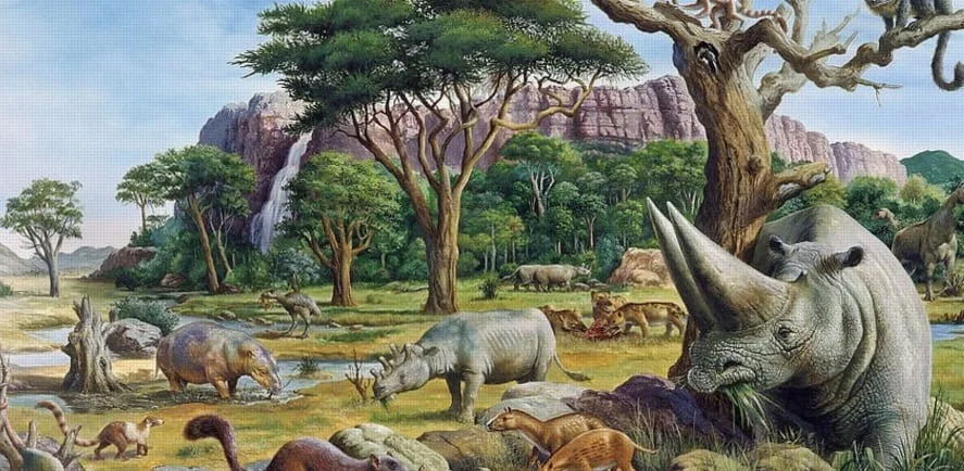 Cenozoic Era: Summary, Division, Climate And Characteristics