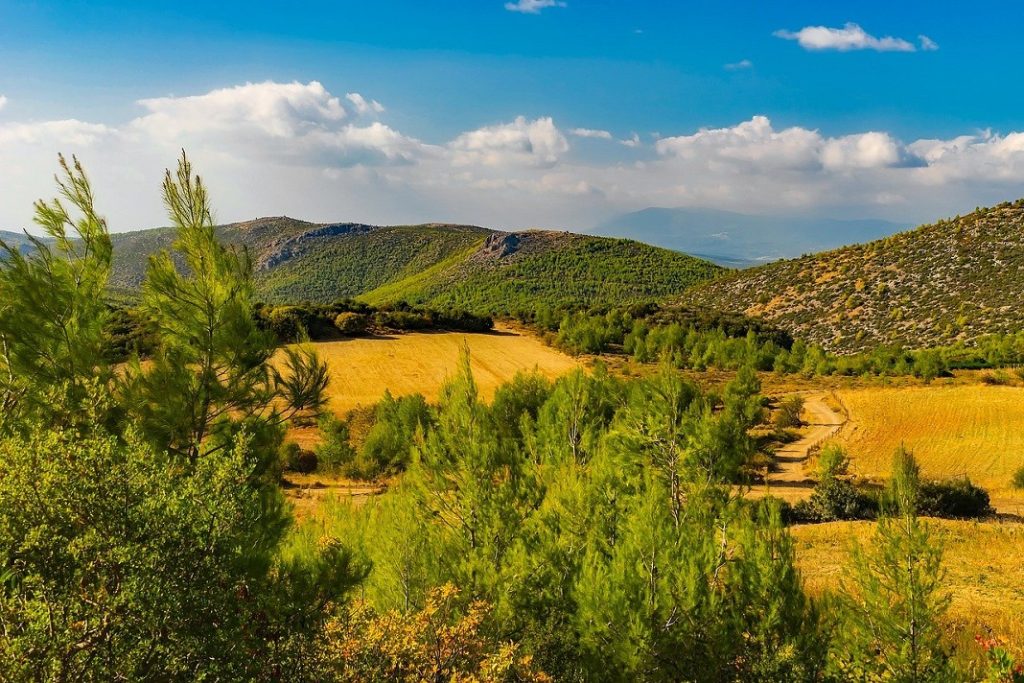 Mediterranean Climate: Vegetation, Types, Features And Characteristics