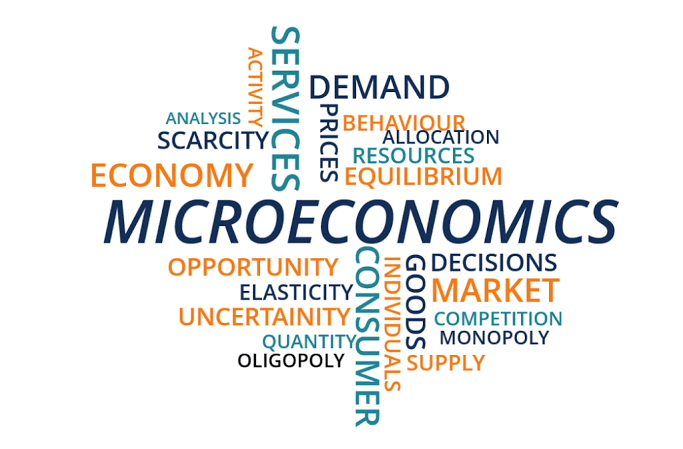 Microeconomics: Characteristics, Features, Theories And Benefits