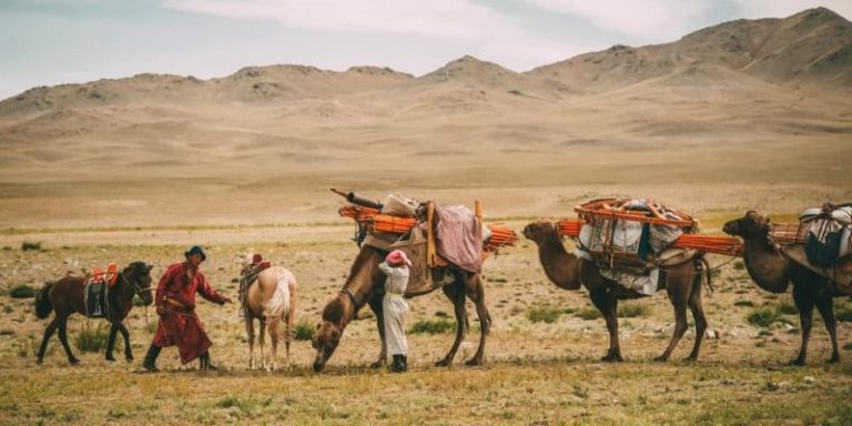 Nomadic And Sedentary Peoples: Summary And Characteristics