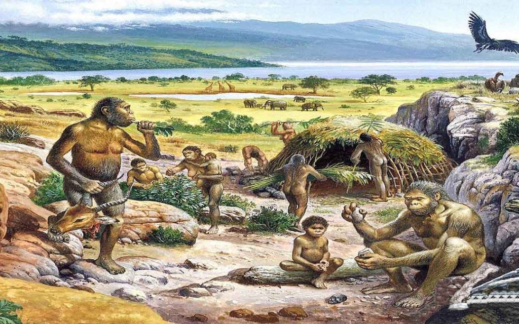 Quaternary Period: Summary, Division, Features And Characteristics