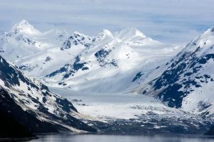 Tundra: Flora, Fauna, Climate, Soil, Features And Characteristics