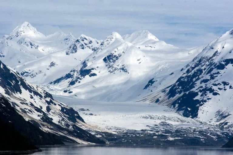 Tundra: Flora, Fauna, Climate, Soil, Features And Characteristics