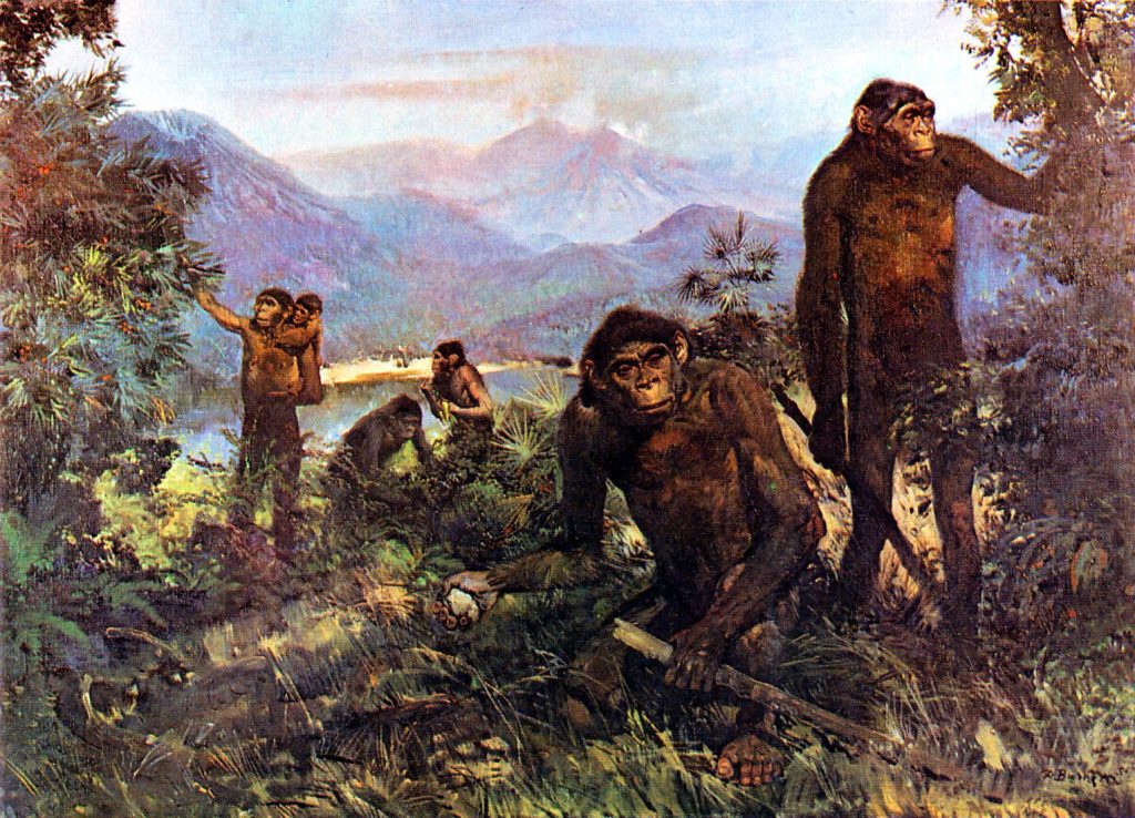 10 Characteristics of Hominids, their Species, Conservation, Diet and Examples