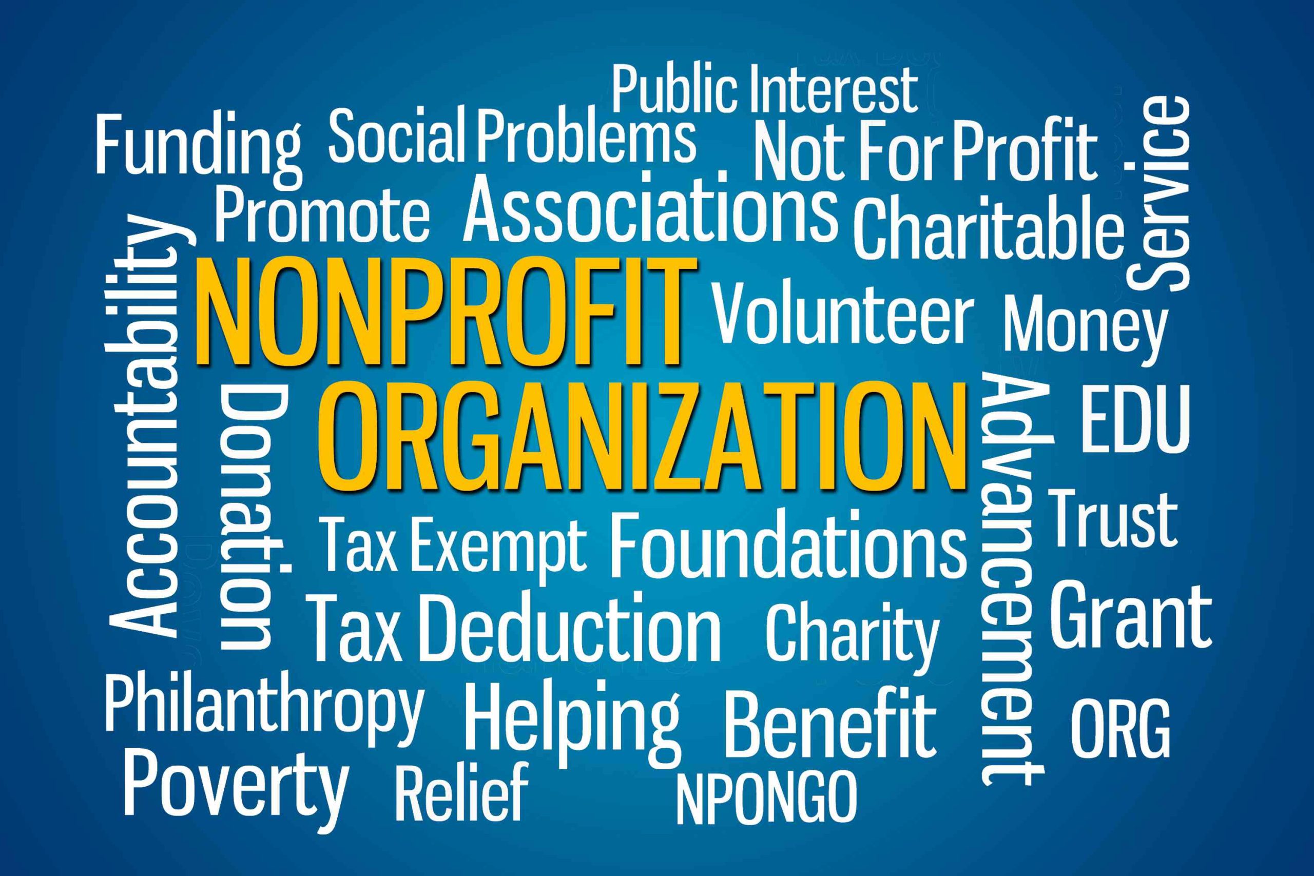 Interesting Facts About Non-profit Organizations, Its Definition, And Examples