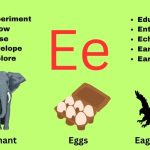 Magic 'e' Words: The Complete Word List, Rules, and Teaching Guide