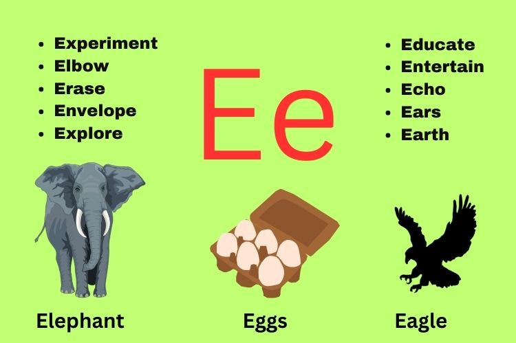 Magic 'e' Words: The Complete Word List, Rules, and Teaching Guide